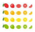 Citrus slices. Vector isolated icon. Tropical fruit isolated. Grapefruit orange lemon lime vector design. Citrus collection Royalty Free Stock Photo