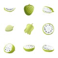 Citrus soursop icon set, cartoon style