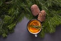 Citrus spicy tea, branch branches and cedar cones on a dark background - winter background, warming drink for heat and disease pre