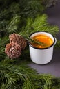 Citrus spicy tea, branch branches and cedar cones on a dark background - winter background, warming drink for heat and disease