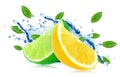 Citrus splash Royalty Free Stock Photo