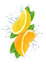 Citrus splash water Royalty Free Stock Photo
