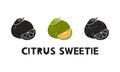 Citrus sweetie, silhouette icons set with lettering. Imitation of stamp, print with scuffs. Simple black shape and color vector