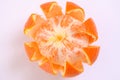 Citrus tankan against white background