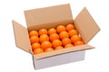 Citrus tankan in a carton box on white background