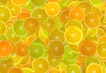 citrus texture. Background with citrus fruit slices Royalty Free Stock Photo