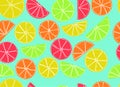 Citrus on a turquoise background