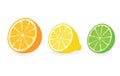 Citrus vector collection