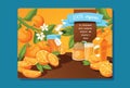 Citrus vector fresh orange fruit backdrop and organic tropical juicy food jam illustration background fruity banner with