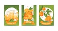 Citrus vector fresh orange fruit backdrop tropical juicy drinks in jar and organic food jelly food badge illustration