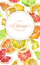 Citrus vertcal banner