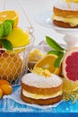 Citrus Victoria Sponge Cake with Lemon Curd Royalty Free Stock Photo