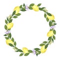 Citrus wreath made of lemons, flowers and leaves. Hand drawn watercolor illustration