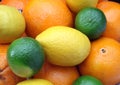 Citruses Royalty Free Stock Photo