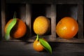 Citruses In Sharp Light in Wooden Boxes Royalty Free Stock Photo