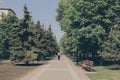 City alley with benches, tall fir trees and flowering chestnuts