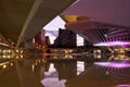 City of Arts and Sciences modern buildings, Valencia, Spain, Europe