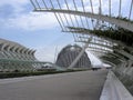 The City of the Arts and the Sciences of Valencia in Spain.