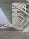 The City of the Arts and the Sciences of Valencia in Spain.