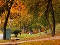 City autumn park, walk with a dog, natural light