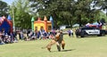 K-9 Police Dog Demonstration, Bartlett, TN Royalty Free Stock Photo