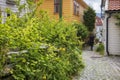 The city of Bergen is home to many gardens of flowers, trees, shurbs that coexist man-made materials that construct an urban