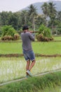 City boy carrying paddy in a field in Nuzvid, India Royalty Free Stock Photo