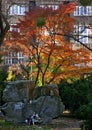 City Bratislava, Slovakia, November 29th, 2023 : Autumn scenery in park