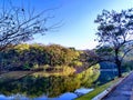 Lagoon at dawn Royalty Free Stock Photo