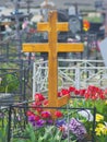 City cemetery, graves and trees in background