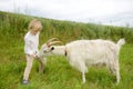 City child on holiday in the village. Little boy feeding goat with an apple. Kid having fun in farm with animals Royalty Free Stock Photo