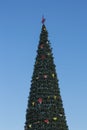 City Christmas tree in the sunlight of a winter day against a blue sky Royalty Free Stock Photo