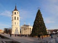 City Christmas Tree, Vilnius, Lithuania Royalty Free Stock Photo