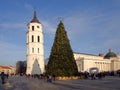 City Christmas Tree, Vilnius, Lithuania Royalty Free Stock Photo