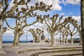 The city Constance on the Lake Constace, Bodensee. The view on the park with a lot of trees in the port with big statue and