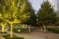 City Dallas Klyde Warren Park on sunset Royalty Free Stock Photo