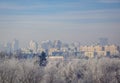 City distance and the trees close. Snowy frosty morning haze.