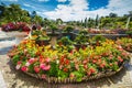 City flower garden in Dalat, Vietnam