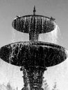 City fountain with water splashes and sitting on it pigeons against the blue sky . Black and white photo mobile