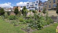 City garden or allotment community garden in the Groen Kwartier district in Antwerp, Belgium Royalty Free Stock Photo