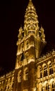 City Hall, Grand Place, Brussels: the tower Royalty Free Stock Photo