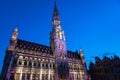 City hall illuminated during light show in Brussel Royalty Free Stock Photo