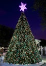 City Hall's Outdoor Christmas Tree