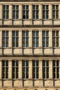 City Hall windows. Ghent. Belgium