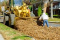 The city improvement team on cleaning in the foliage is loaded into a tractor