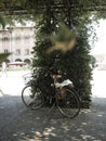 City bike under green pergola.