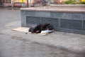 City, Kiev, Ukraine. Homeless person is lying on the street. City center street in the morning