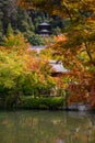 Kyoto, Japan. Autumn maple leaves and temple roof Royalty Free Stock Photo