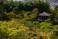 Kyoto, Japan. Autumn maple leaves and temple roof Royalty Free Stock Photo