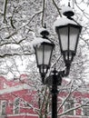 City lamp under the cover of snow, cold winter Royalty Free Stock Photo